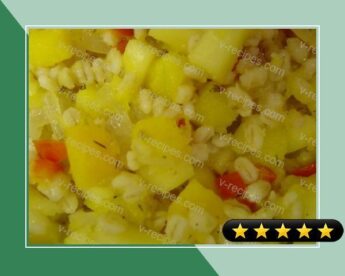 Weight Watchers Barley With Butternut Squash, Apples and Onions recipe