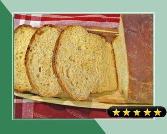 Whole Wheat Bread With Ginger & Cashews for ABM recipe