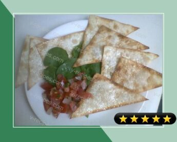 Low-Fat (Wonton Egg Roll Gyoza) Chips With Salsa recipe