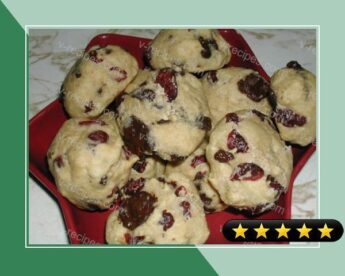 Chocolate Cranberry Cookies - Mix in a Jar recipe