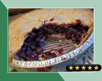 Fresh Blueberry Pie recipe