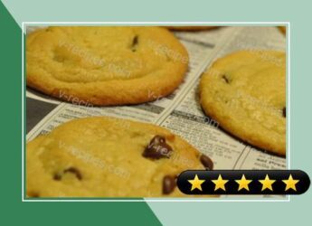 Chocolate Chip Pudding Cookies recipe