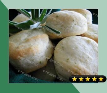 Peppery Sage Biscuits recipe