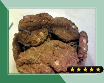 Brenda's Absolute Best Oatmeal Cookies recipe