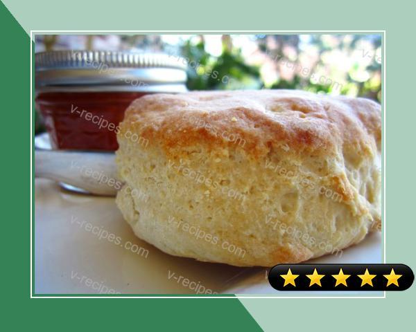 Tall and Fluffy Buttermilk Biscuits recipe