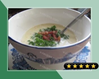 Dutch Mustard soup recipe