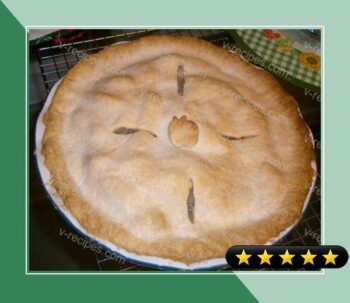 The Best Apple Pie You Will Ever Eat! recipe