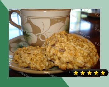 Low Fat Oatmeal Chocolate Chip Cookies recipe