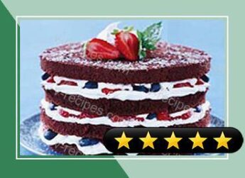 Layered Chocolate Berry Cake recipe