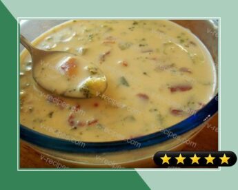 Weight Watchers Yummy Cheese Soup (Easy Too) recipe