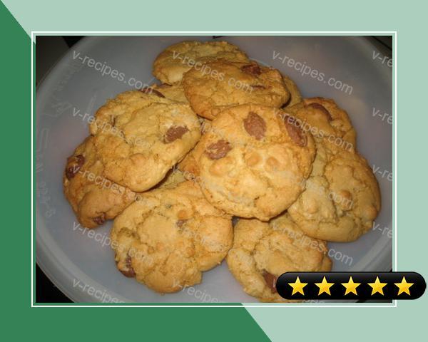 Amazing Soft and Chewy Chocolate Chip Cookies recipe