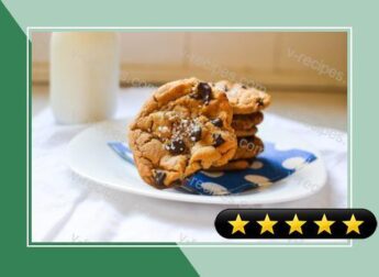 Cookie Butter Chocolate Chip Cookies recipe