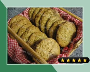 Great Big Oatmeal Cookies (That are Both Great and Big) recipe