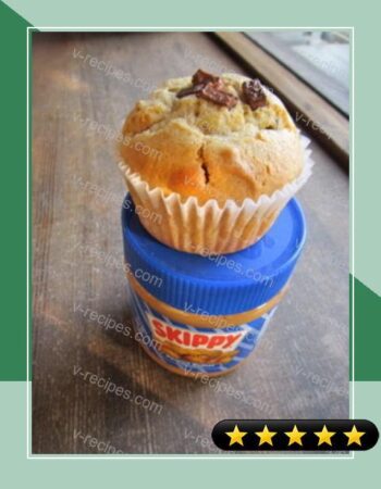 Peanut Butter and Chocolate Muffins recipe