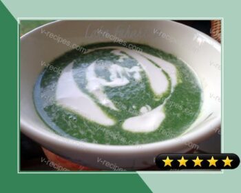 Creamy Spinach Soup recipe