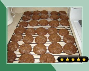 Mint Chocolate Chip Cookies recipe