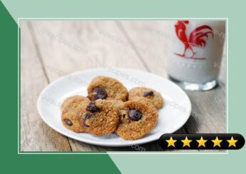 Chocolate Chip Cookies with Yacon Syrup recipe