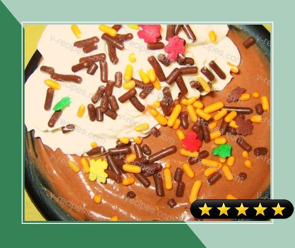 Chocolate Mocha Pudding - Low Carb recipe